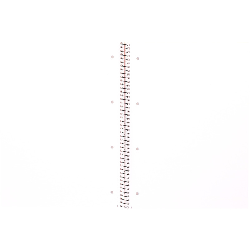 Oxford Cahier à spirale, A4+, uni, 160 pages, orange Fournitures-business.fr Oxford Cahier à spirale, A4+, uni, 160 pages, orange – Image 5