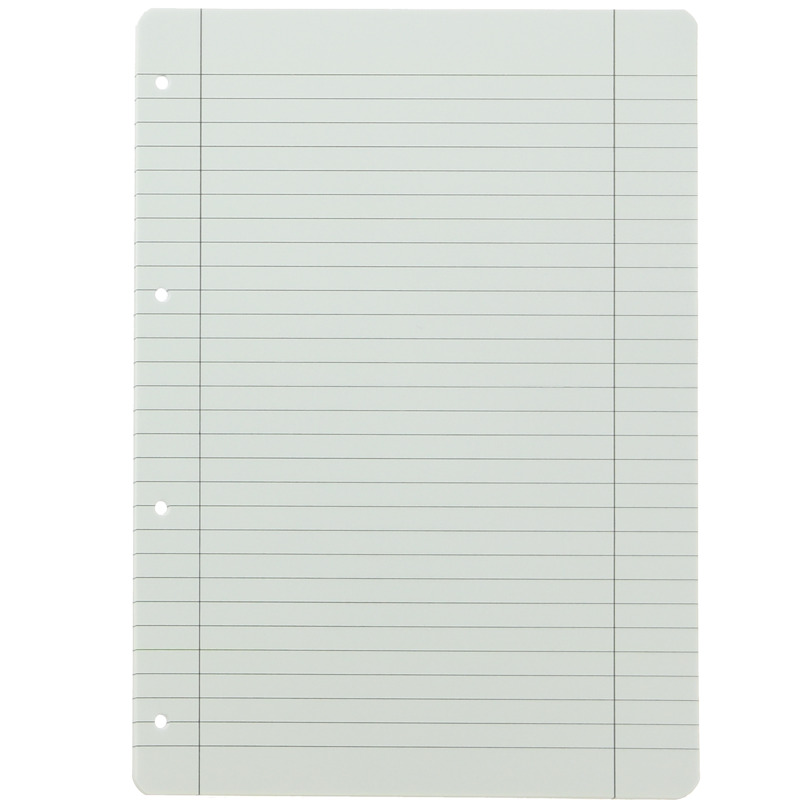 LANDRÉ Feuillets mobiles "pro terra", A4, ligné Fournitures-business.fr LANDRÉ Feuillets mobiles "pro terra", A4, ligné – Image 5