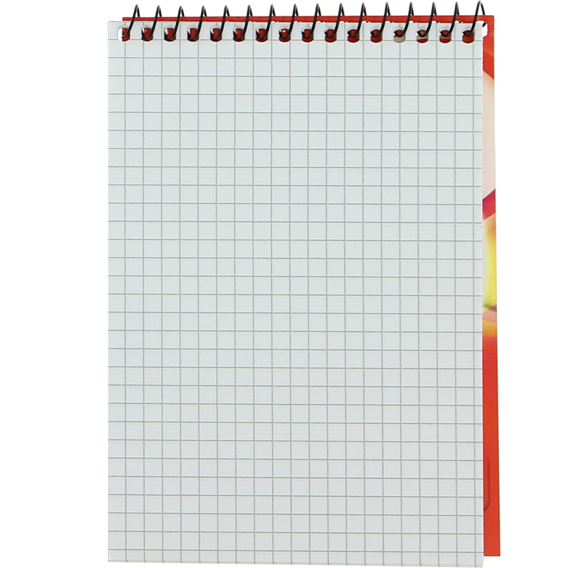 LANDRÉ bloc-notes à spirale, format A6, 40 feuilles, Fournitures-business.fr ligné