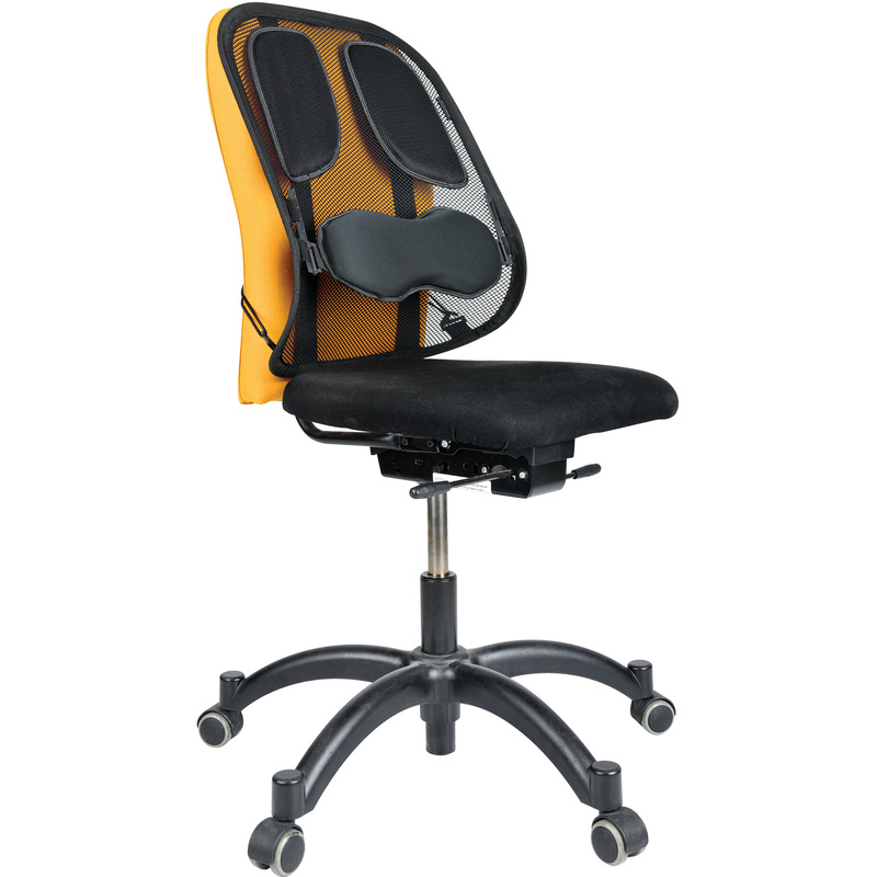 Fellowes support dorsal en maille Professionnel Series, noir Fournitures-business.fr noir