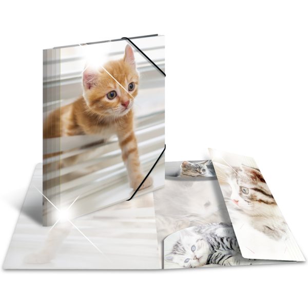 Chemises à élastique Chemises à élastiques PP pour A4 HERMA Chemise à élastiques "chats"