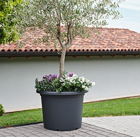 tera Jardinière "Menfi"