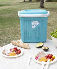 20 litres