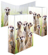 HERMA Classeur à motifs "Suricates"