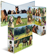 HERMA Classeur à levier "Monde animal"