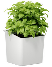 tesa KITCHEN Pot pour herbes aromatiques