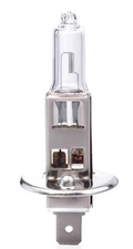 IWH Ampoule halogène H1 pour phare