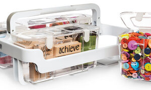 deflecto Système de rangement Caddy Organizer