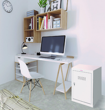 phoenix Casier cubique CL0644