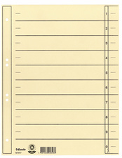 Esselte Intercalaires carton