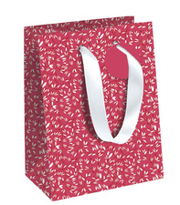 Clairefontaine Sac cadeau "Flora"