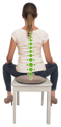 SCHILDKRÔT Coussin de soutien dorsal Seat Cushion Fit+